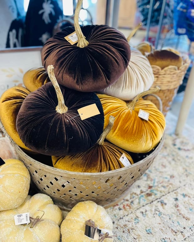 Images Miss Daisy's Home & Decor Co.