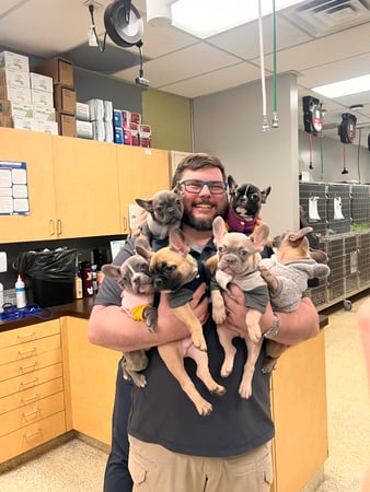 Images VCA All Pet Animal Hospital/Taylorsville