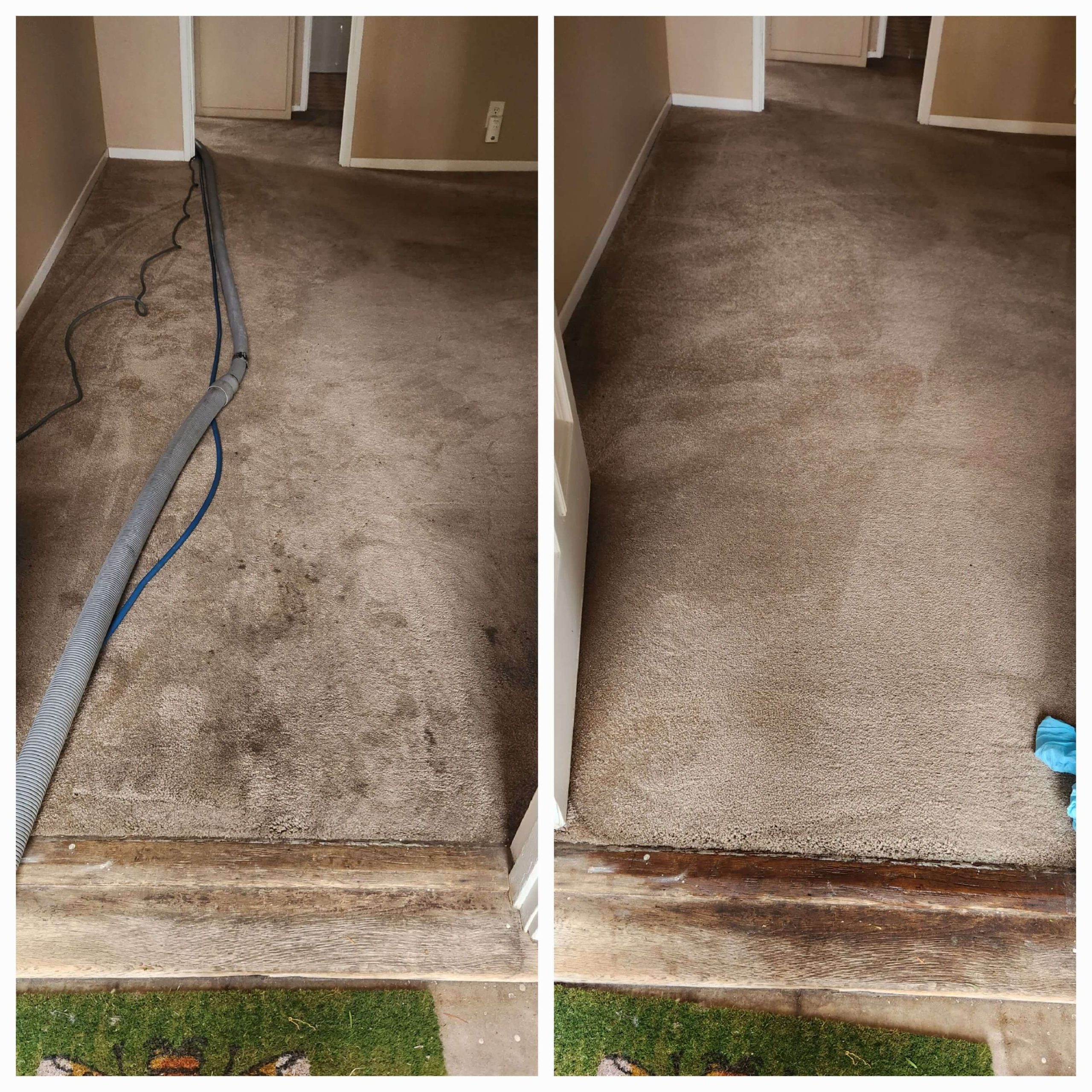 Before and after carpet cleaning  in Orange County