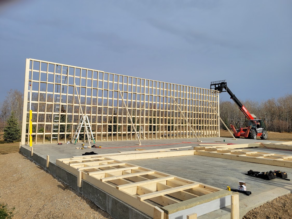 Images The Blue Spruce Builder