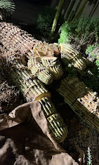 Valley Of The Sun Landscape Image