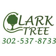 Clark Tree Expert Company Logo