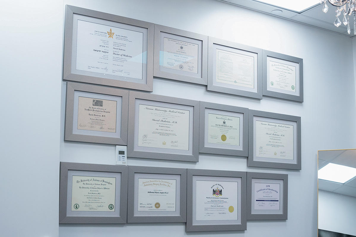 Training, Accolades, Certifications and Associations of Dr. David Shokrian