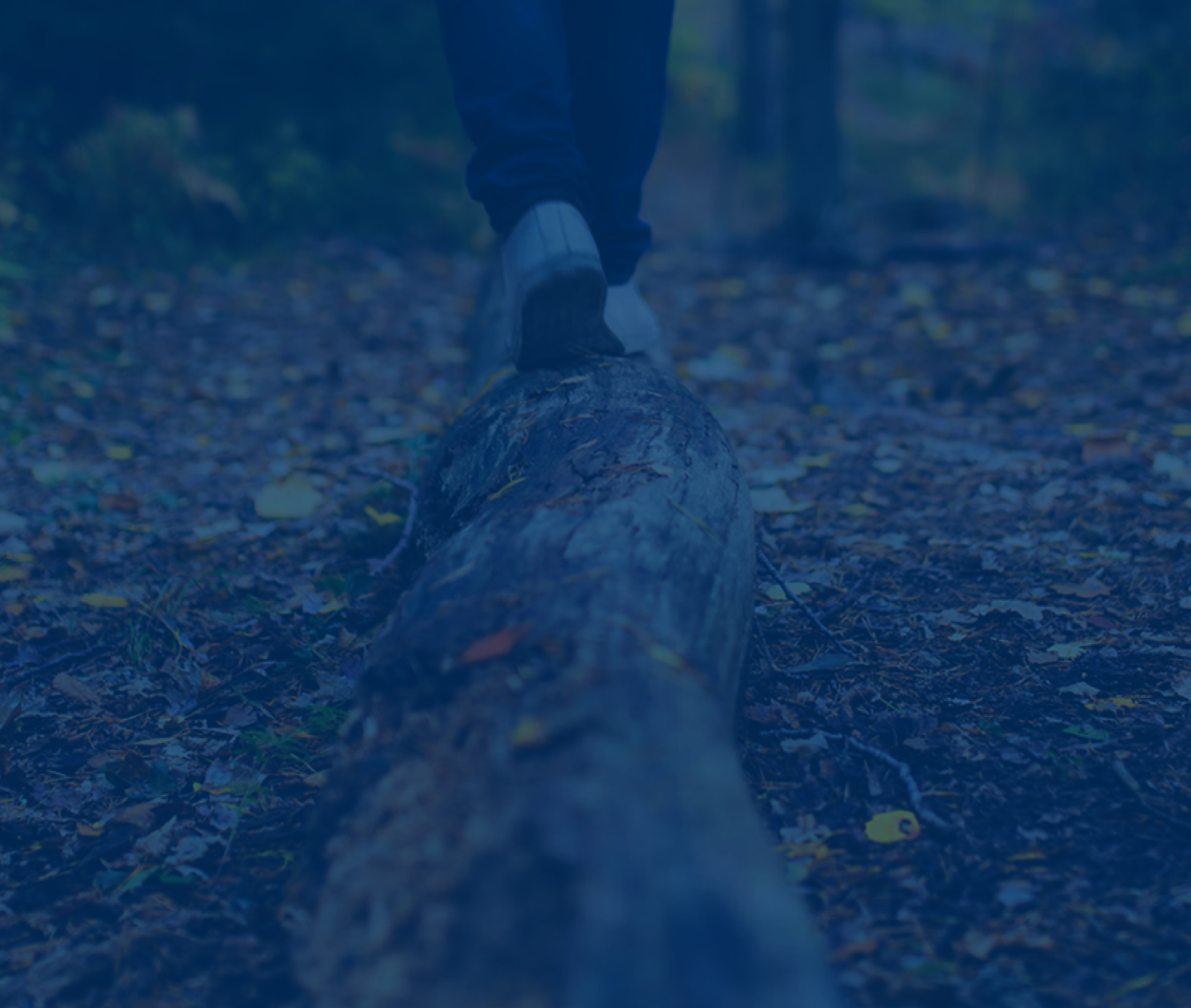 Person balancing on a log on a forest trail covered in autumn leaves.