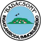 BADACSONY INGATLANIRODA Logo