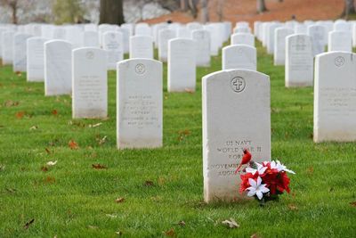 Images Impresa Funebre Trevisi