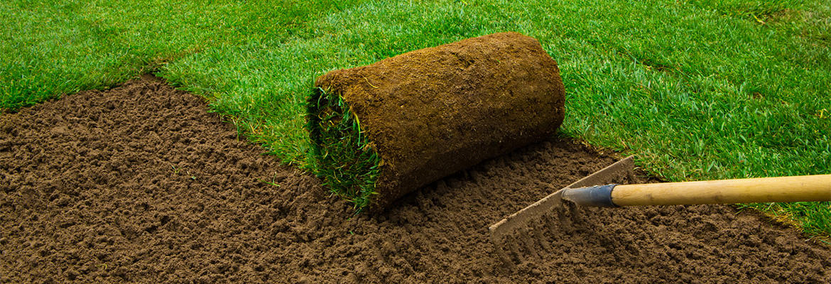 Rasenpflege, Rollrasen, Neuaussaat
Wir kümmern uns um Ihren Rasen! Anlegen von Rasenflächen mit Saatgut – oder in der schnellen Variante – als Rollrasen, Ausbessern von kahlen Stellen oder ein eigenes Grün zum Putten?