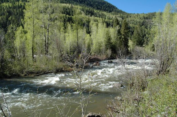 Images Wilson  Rea  Beckel & Associates  CPAs  LLC