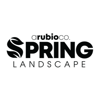 Spring Landscape