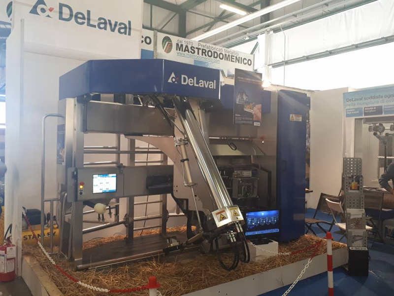 Images Mastrodomenico Agricoltura