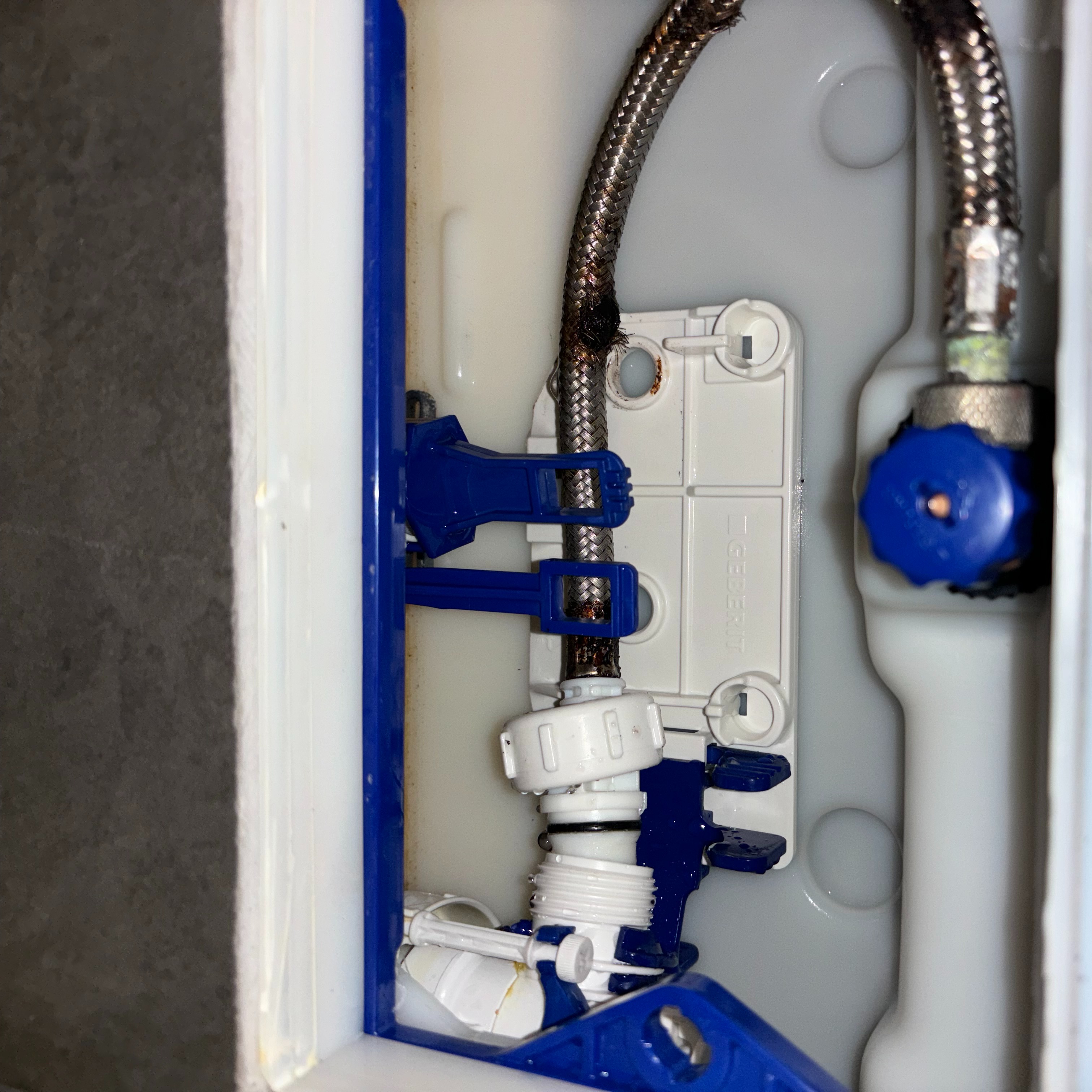 Cherry Blossom Plumbing Image