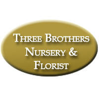 Three Brothers Nursery & Florist