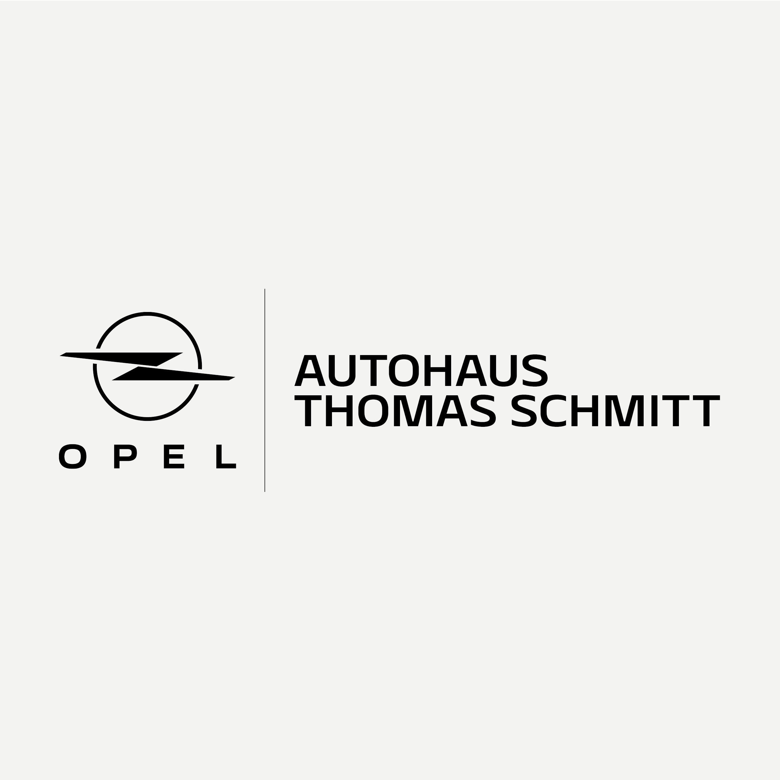 Autohaus Thomas Schmitt in Blankenbach - Logo