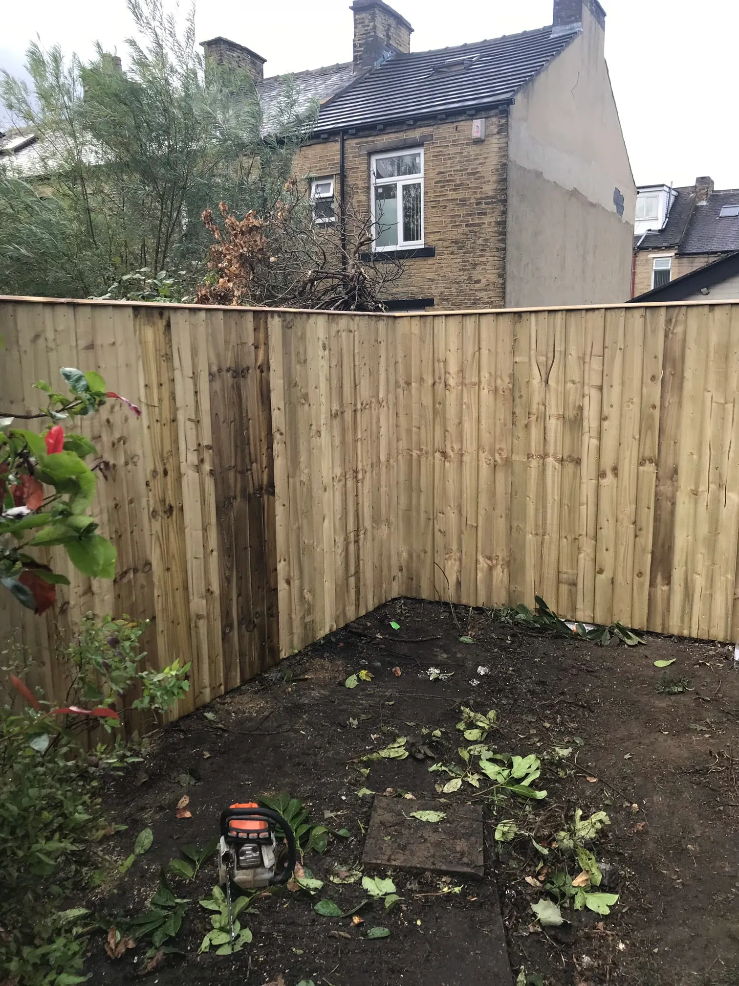 Images D & E Landscapes