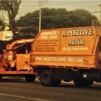 Images A1 Positive Arbour Pty Ltd