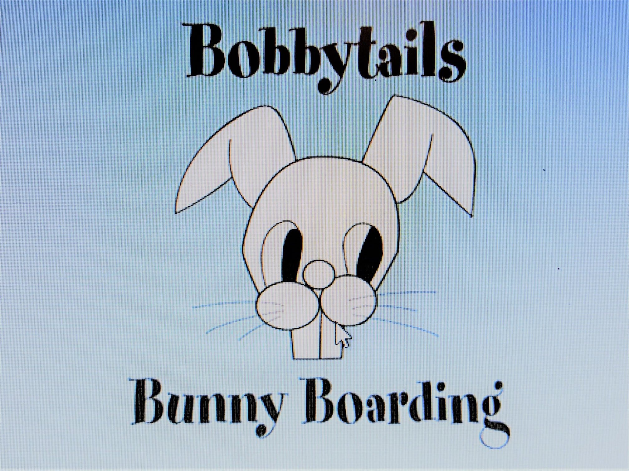 Images Mrs Doolittles Pet Care (Bobbytails Small Animal Boarding)