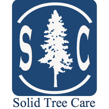 Solid Tree Care Logo