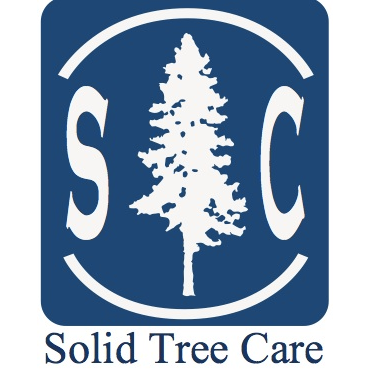 Solid Tree Care