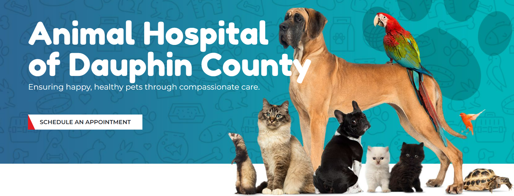 Animal Hospital of Dauphin County Harrisburg (717)775-7554