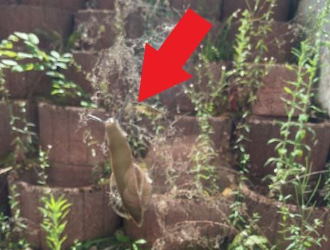 Bilder Gebäudereinigung Giuseppe Musso Moers Die Kunst des Reinigens