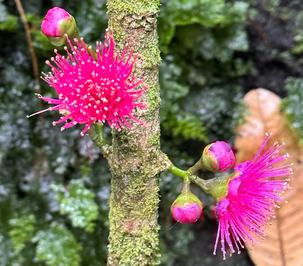 Images It's A Beautiful World Travel