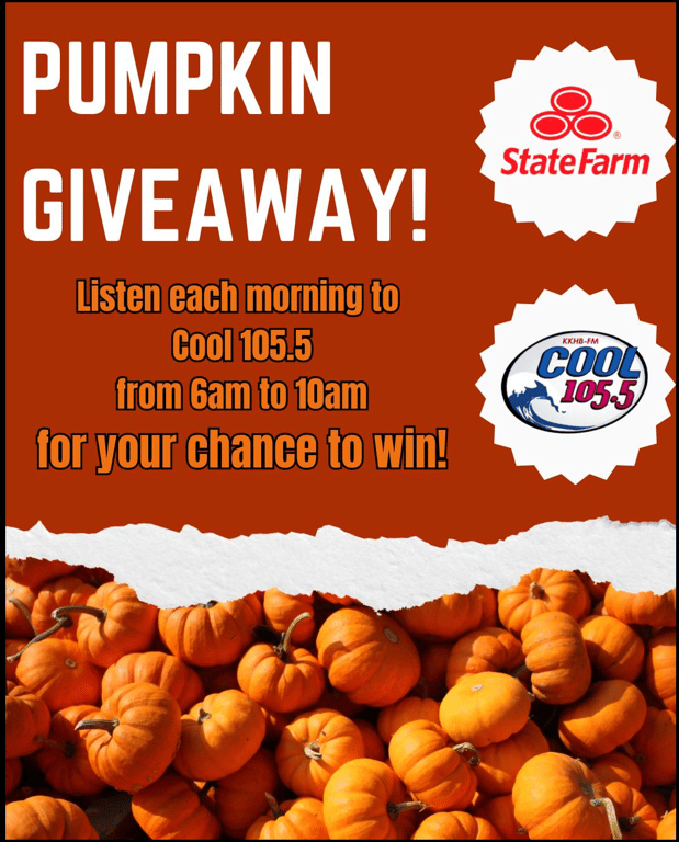 Images Traci Day  - State Farm Insurance Agent