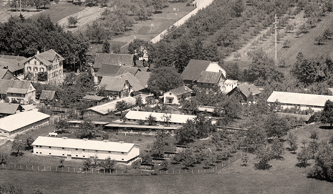 Bilder Soller Junghennen AG