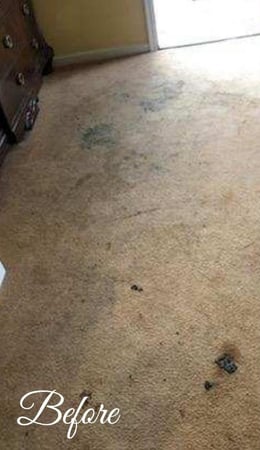 Images East Coast Carpet Care, Inc