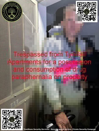 Images TreeStone Security Services
