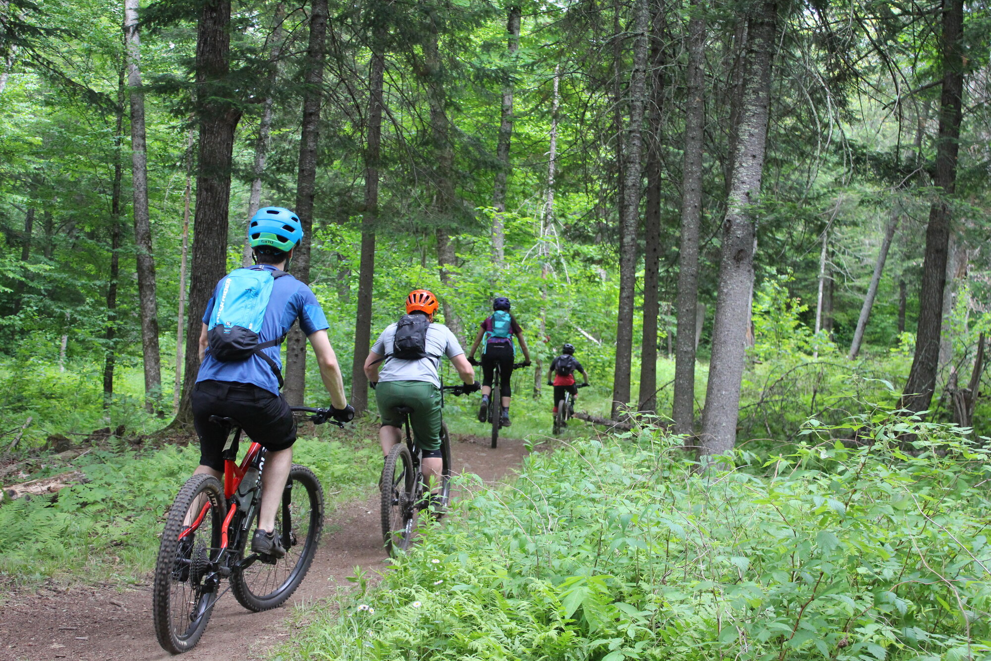 Images Expérience SK