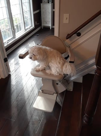 Images 101 Mobility of Louisville