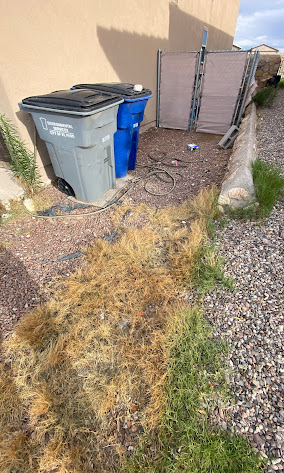 Zamora's Yard Cleanup And Junk Removal Services LLC Image