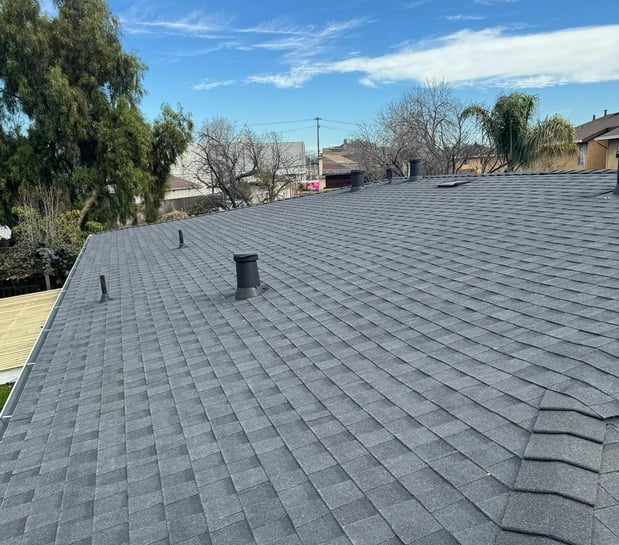 Images TURTLE ROOFING