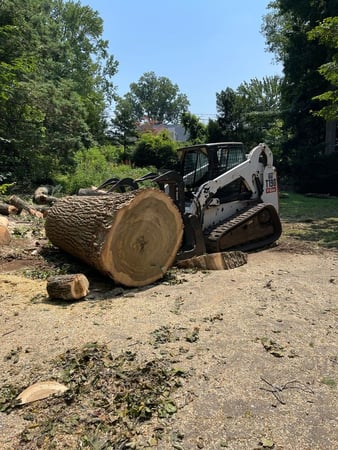 Images Green Outdoors Tree Service