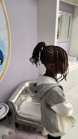 Images Officially Celebrity Braids