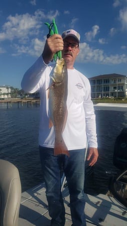 Images E-6 INSHORE FISHING ADVENTURES, LLC