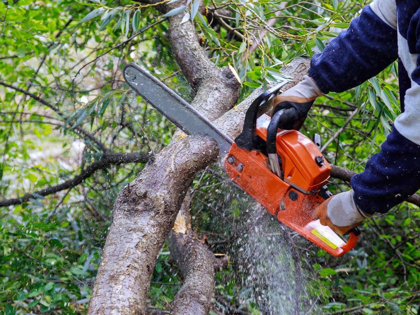 James River Tree Service