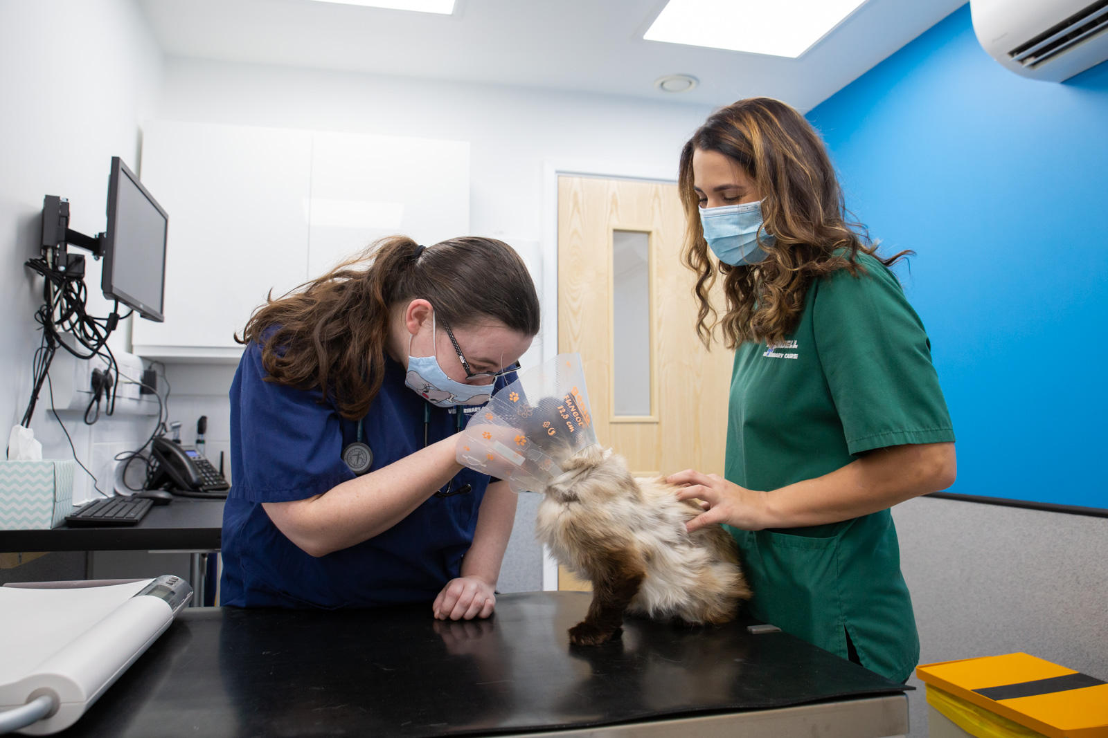 Images Arundell Veterinary Care, Kirk Sandall