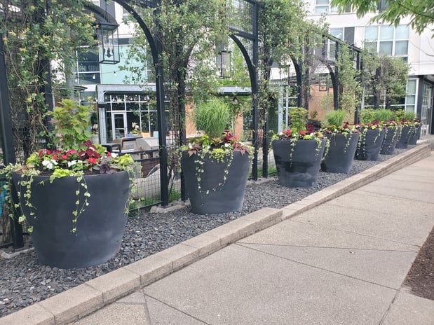Images MLS Landscape and Design - Pittsburgh