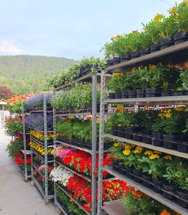 Images Green Service Vivaio Brico Agraria Oulx