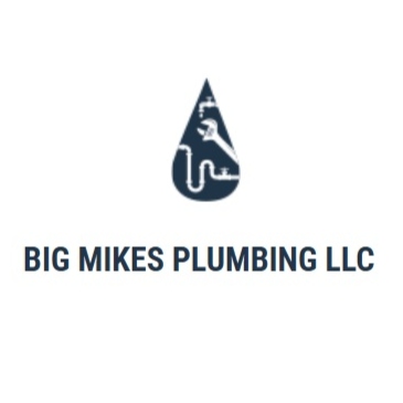 Big Mikes Plumbing LLC