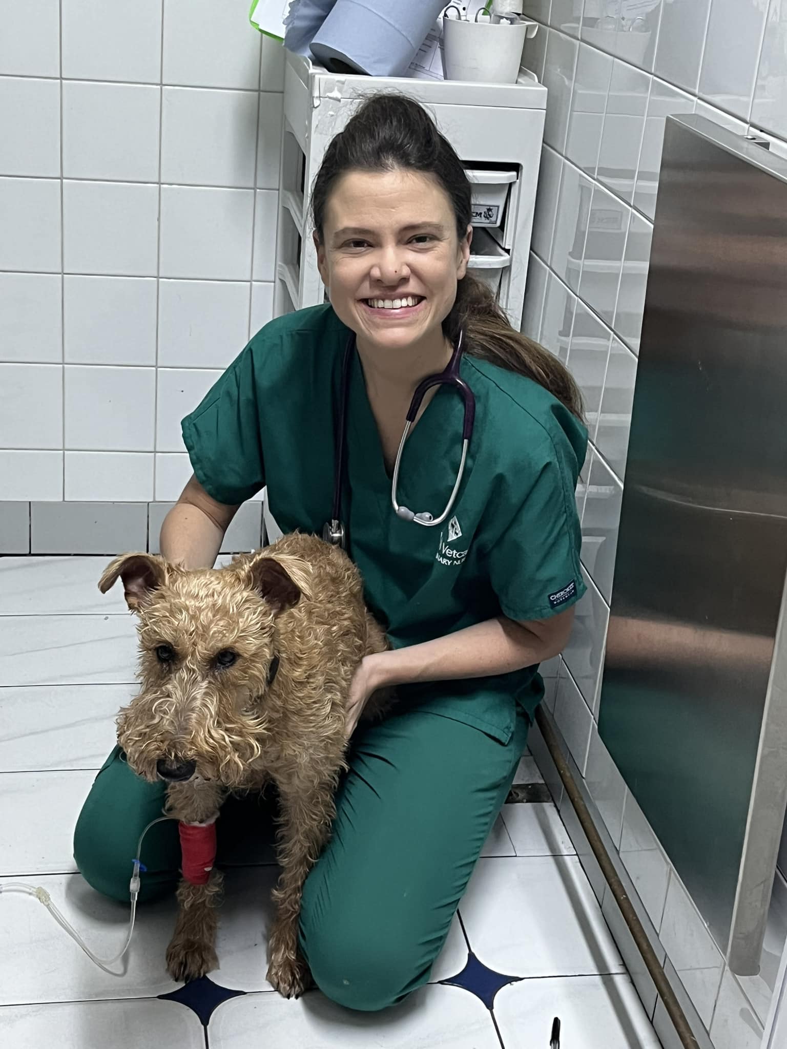 Images Streatham Hill Veterinary Surgery