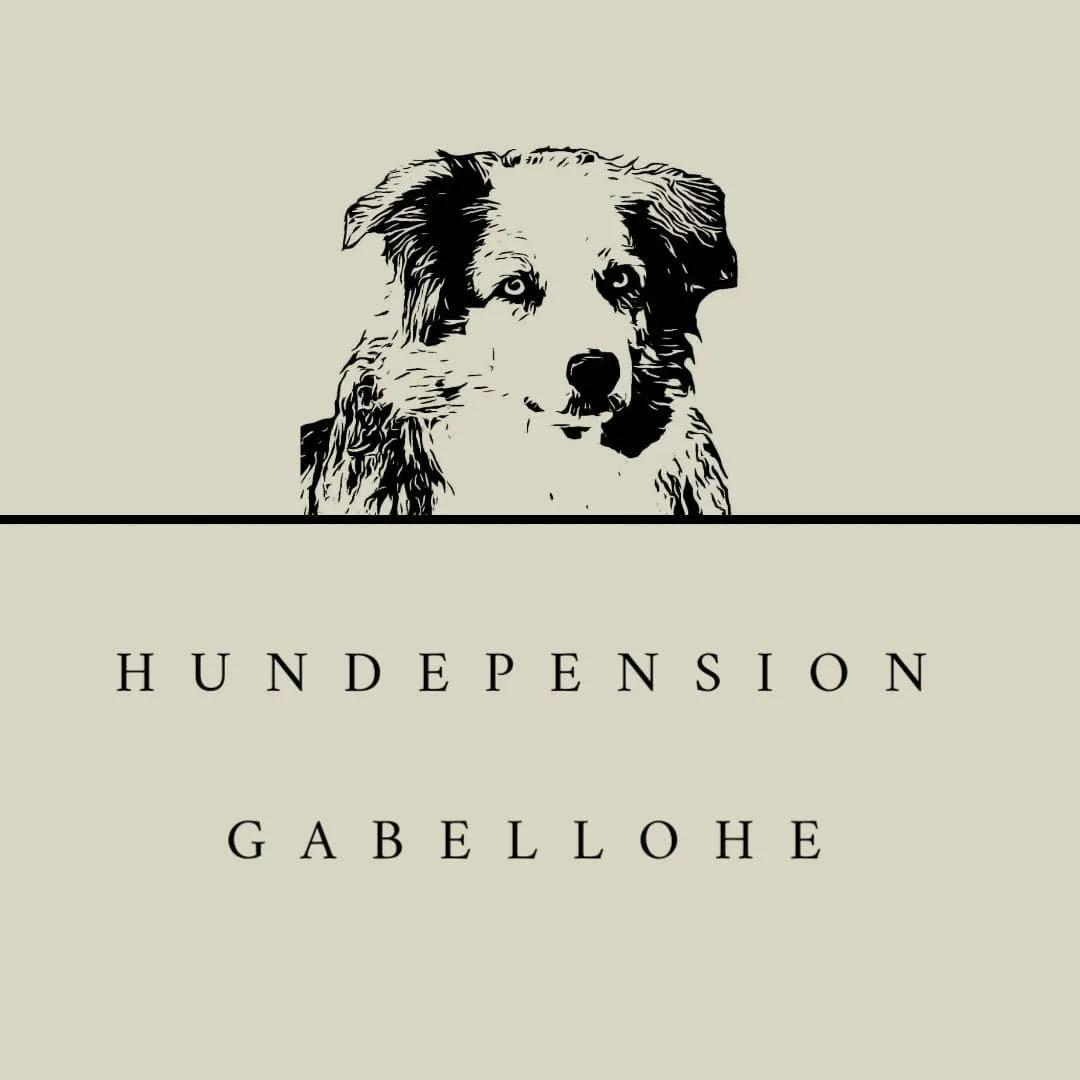 Logo Hundepension Gabellohe