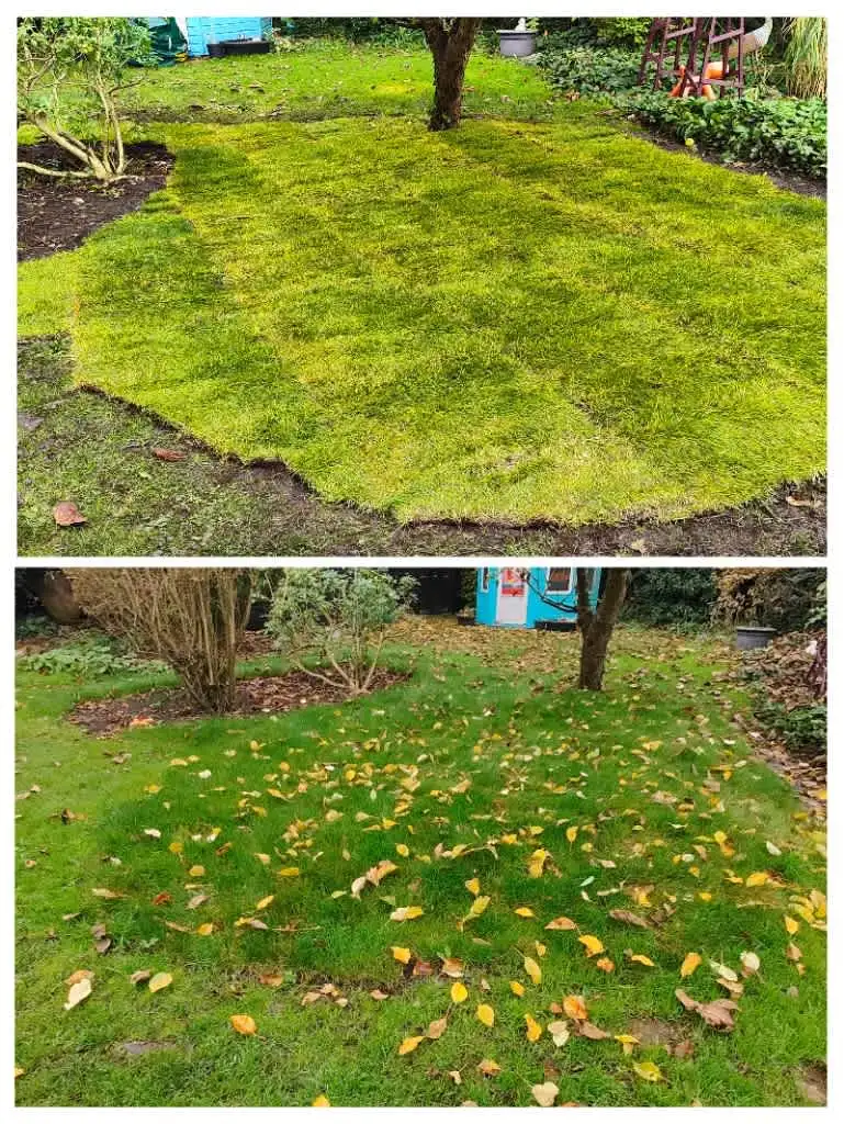 Images Clarke's Garden Care