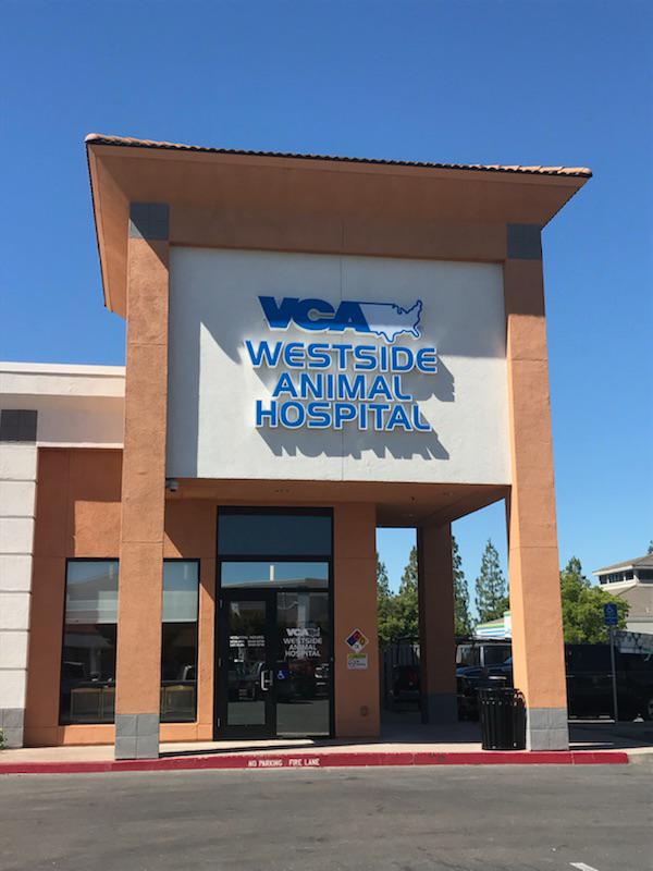 Images VCA Westside Animal Hospital