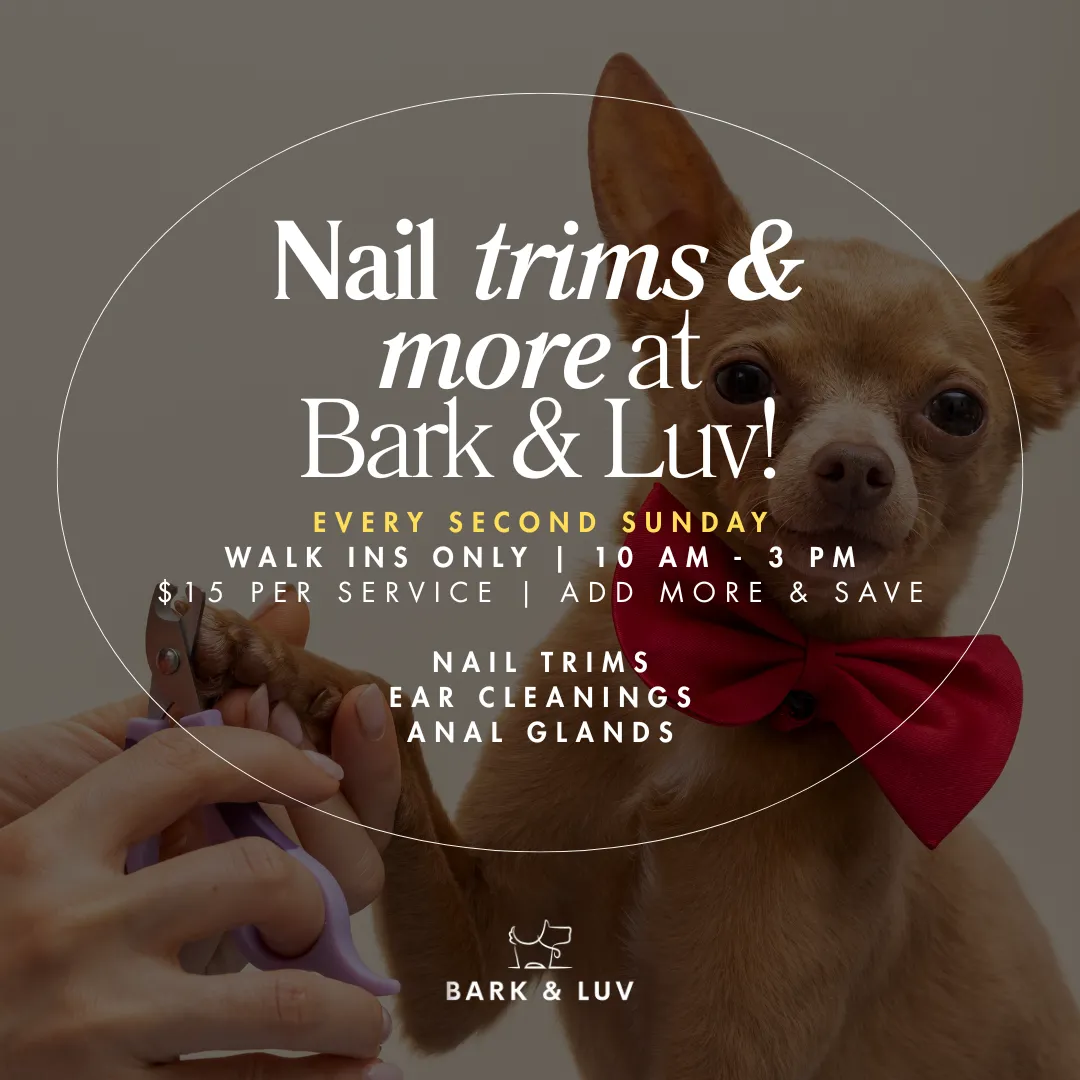 Image of Local Pet Event Nail Trim & Clean-Ups with Malinda! Nearby
