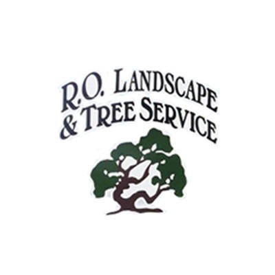 R.O. Landscape & Tree Service LLC | Trimming | Tucson, AZ