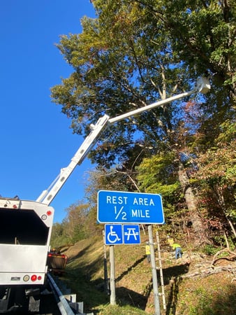 Images Y & VA TREE SERVICES LLC