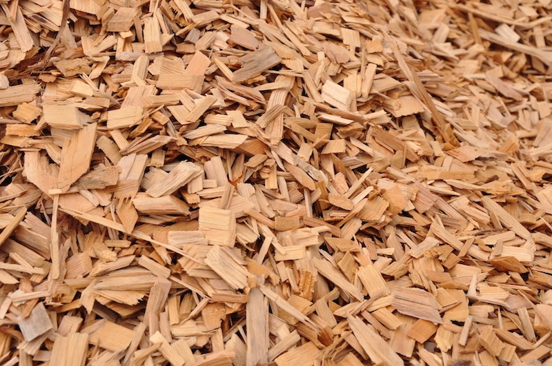 Cypress Chips are back!!!