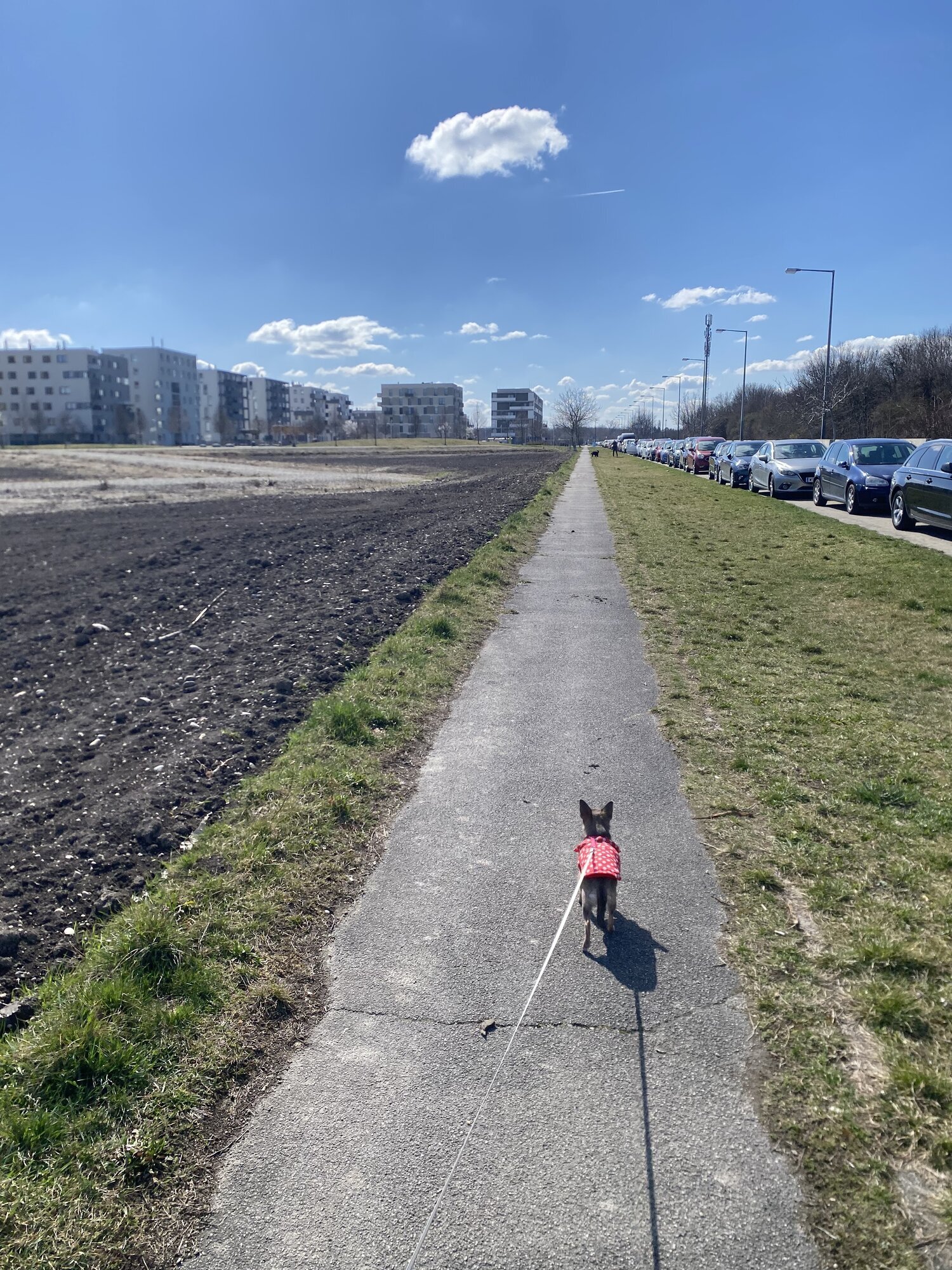 Bild 10 von Central Bark
